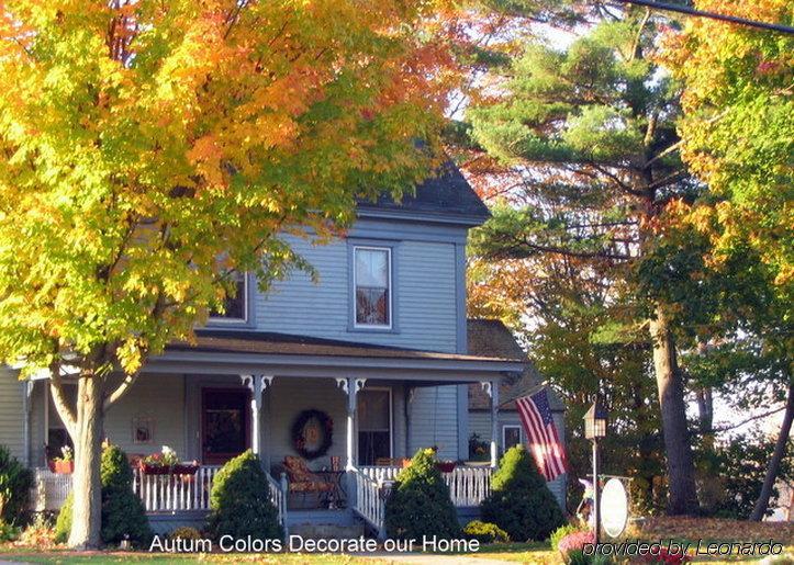 Black Lantern B&B Topsham Servis gambar